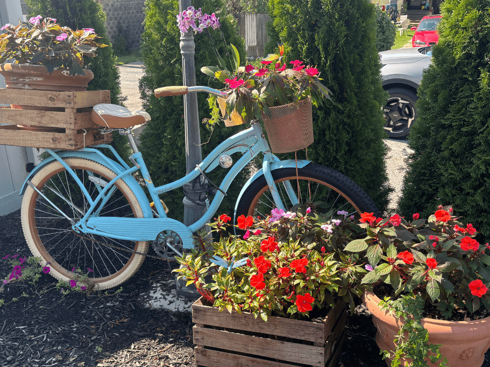 A vintage blue bicycle adorned with flower baskets is nestled among colorful blooms in a garden setting.