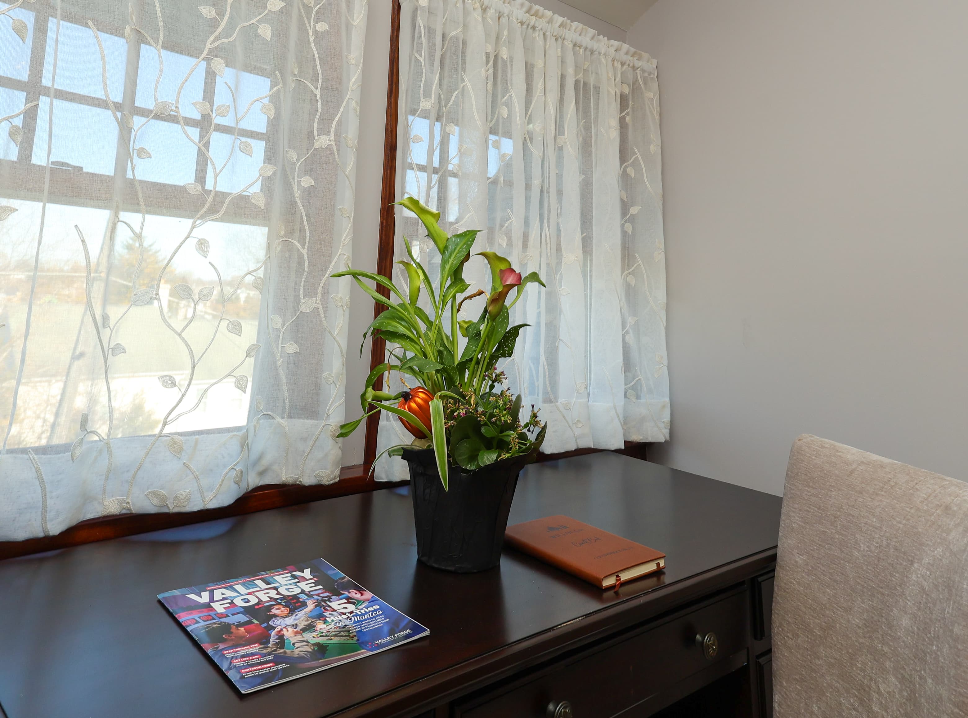 A potted plant sits on a wooden desk beside a magazine and a book, with light filtering through sheer curtains.