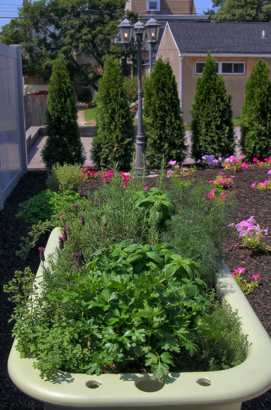 A bathtub garden filled with various herbs and flowers, surrounded by evergreen trees and a lamp post.